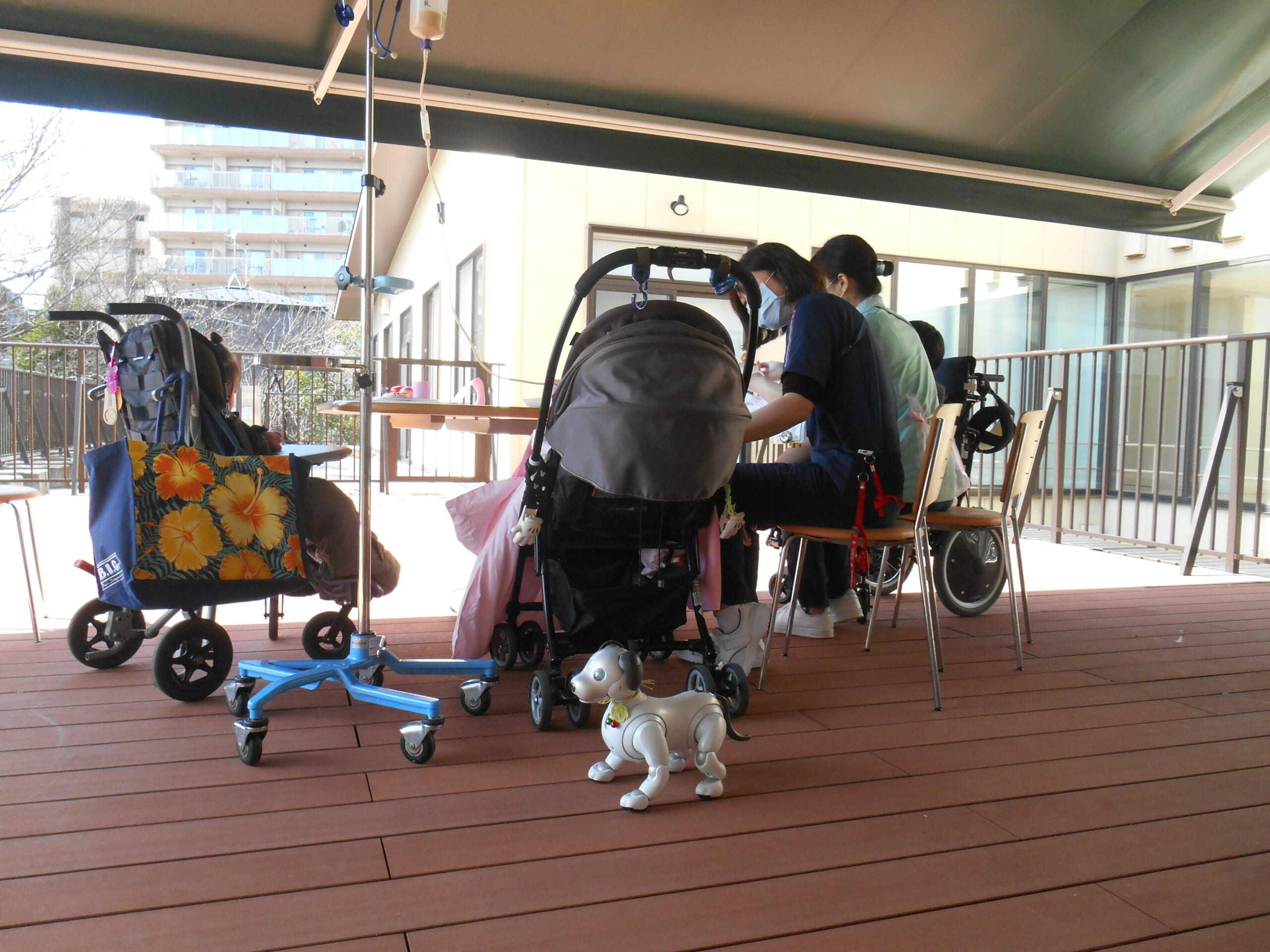 ピクニックをしました！