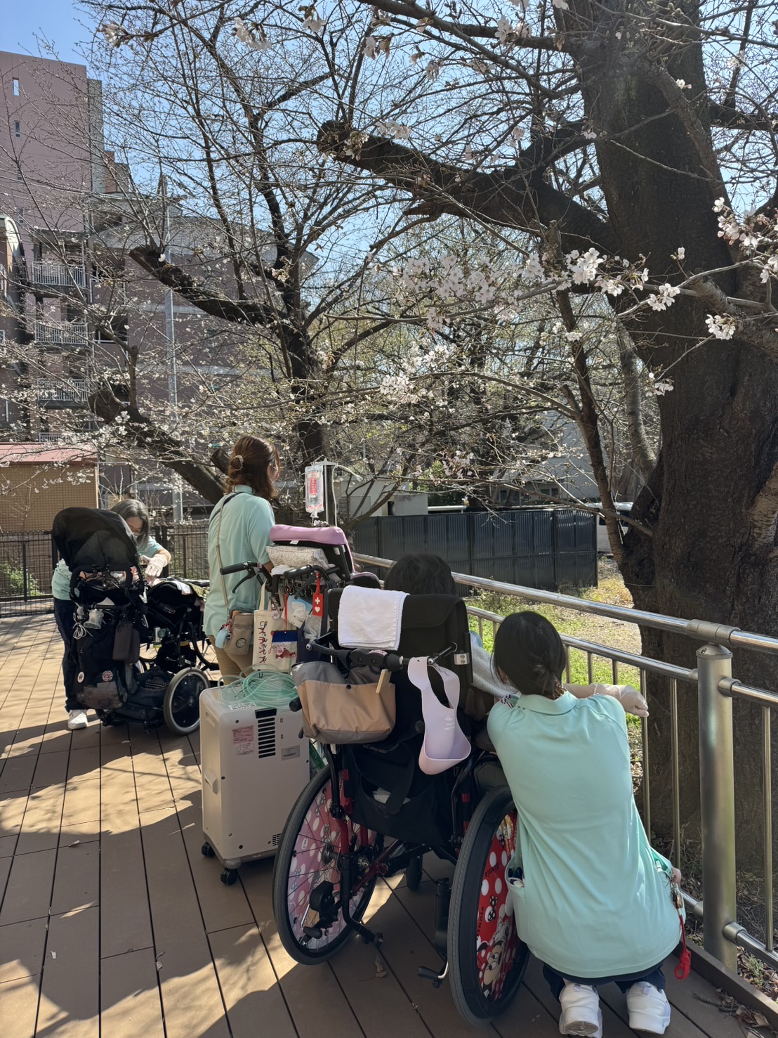 桜の時期にはみんなでテラスでお花見をしました！